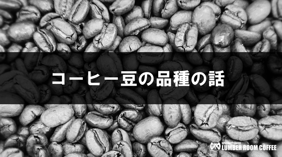 珍しいイバイリ種(ハワイモカ)400gコーヒー生豆！焙煎してません！